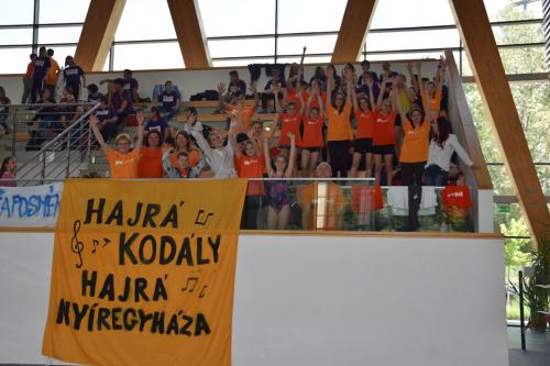 nagyvagy (8)